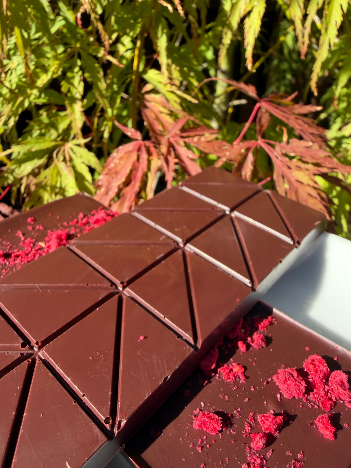 Semuliki Forest, Uganda 70% Dark Chocolate with Raspberry