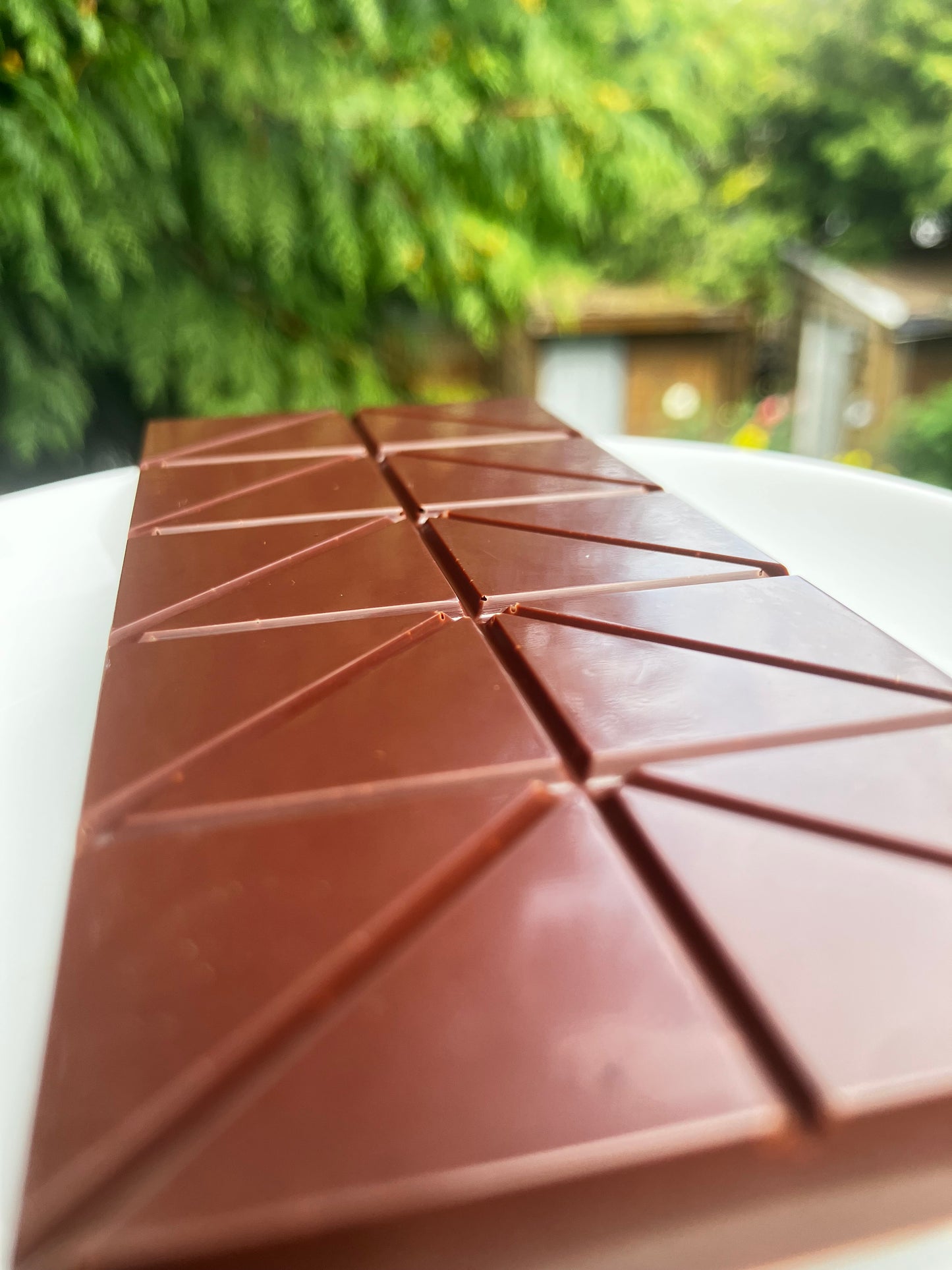 Semuliki Forest, Uganda 70% Dark Chocolate